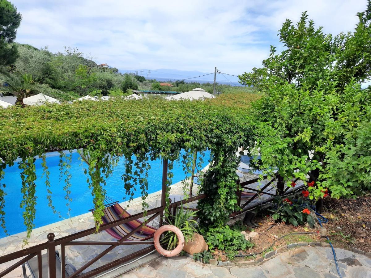 Seralis Pelion Афисос Екстериор снимка